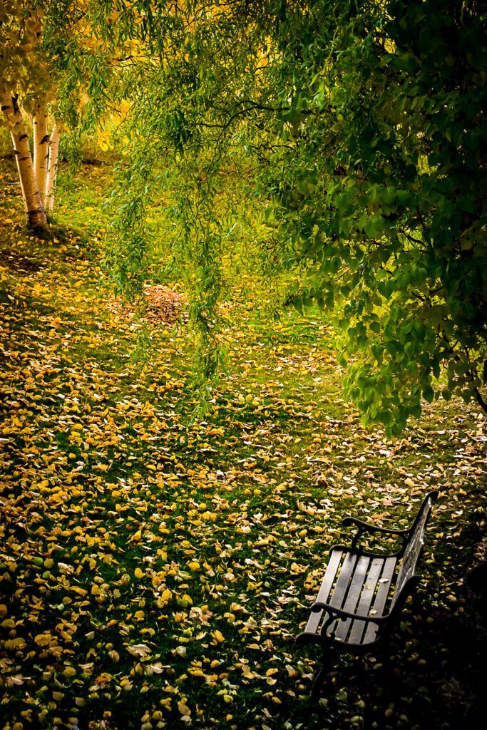 Out The Backdoor Shooting In Your Backyard Photzy