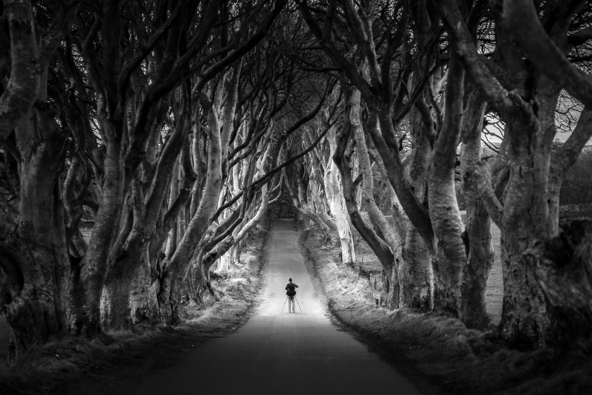 15 Amazing Black & White Landscape Photos That Will Leave