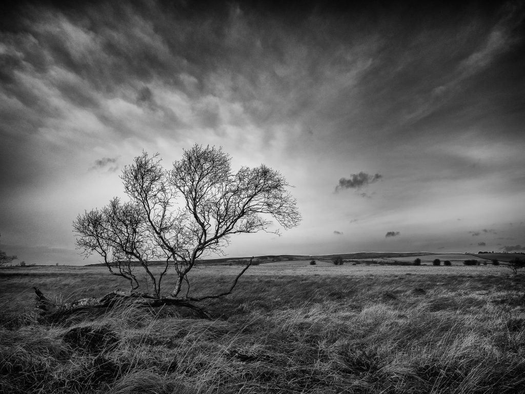 landscape photography wallpaper black and white