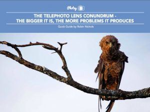 Telephoto Lenses - Free Quick Guide