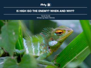 Is High ISO the Enemy? When and Why?