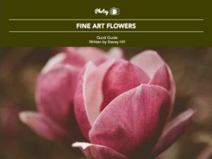 Fine Art Flowers - Free Quick Guide