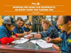 Working Pro Bono for Non-Profits: An Entry Point for Turning Pro - Free Quick Guide