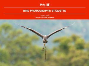 Bird Photography: Etiquette - Free Quick Guide