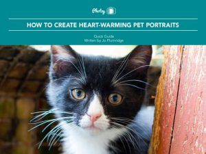 How to Create Heart-Warming Pet Portraits - Free Quick Guide