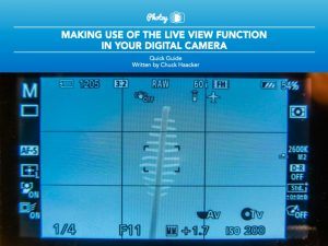 Making Use of the Live View Function in Your Digital Camera - Free Quick Guide