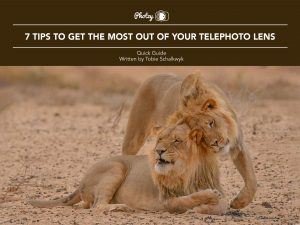 7 Tips to Get the Most Out of Your Telephoto Lens - Free Quick Guide