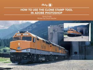 How to Use the Clone Stamp Tool in Photoshop - Free Quick Guide