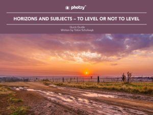 Horizons and Subjects - To Level or Not to Level - Free Quick Guide