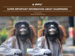 Super Important Information about Sharpening - Free Quick Guide