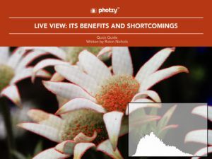 Live View: Its Benefits and Shortcomings - Free Quick Guide