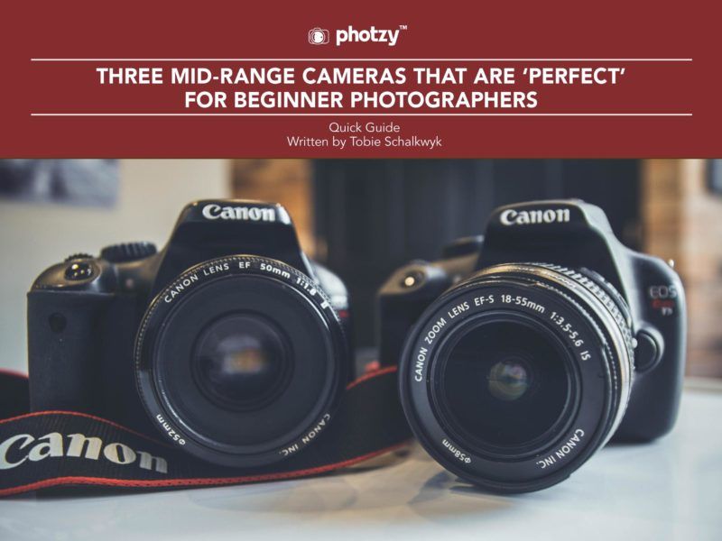 Three MidRange Cameras That Are Perfect for Beginner Photographers