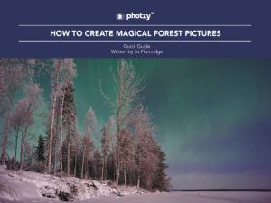 How to Create Magical Forest Pictures - Free Quick Guide