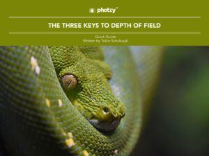The Three Keys to Depth of Field - Free Quick Guide