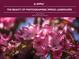 The Beauty of Photographing Spring Landscapes - Free Quick Guide