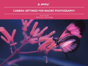Camera Settings for Macro Photography - Free Quick Guide