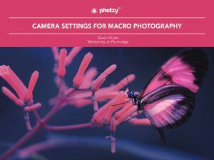 Camera Settings for Macro Photography - Free Quick Guide