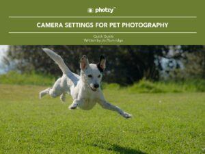 Camera Settings for Pet Photography - Free Quick Guide