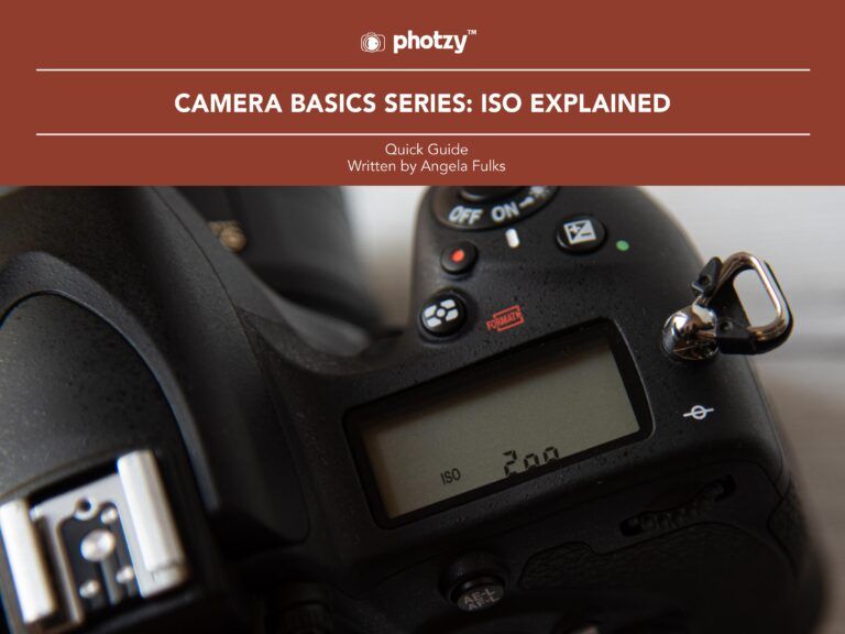 Camera Basics Series ISO Explained Free Quick Guide Photzy