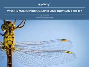 What Is Macro Photography and How Can I Try It? - Free Quick Guide