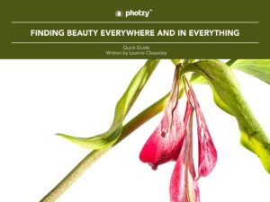 Finding Beauty Everywhere and In Everything - Free Quick Guide