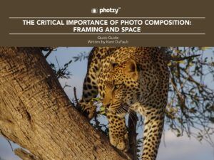 The Critical Importance of Photo Composition: Framing and Space - Free Quick Guide