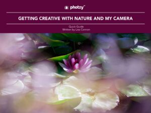 Getting Creative with Nature and My Camera - Free Quick Guide