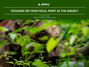 Focusing on Your Focal Point as the Subject - Free Quick Guide