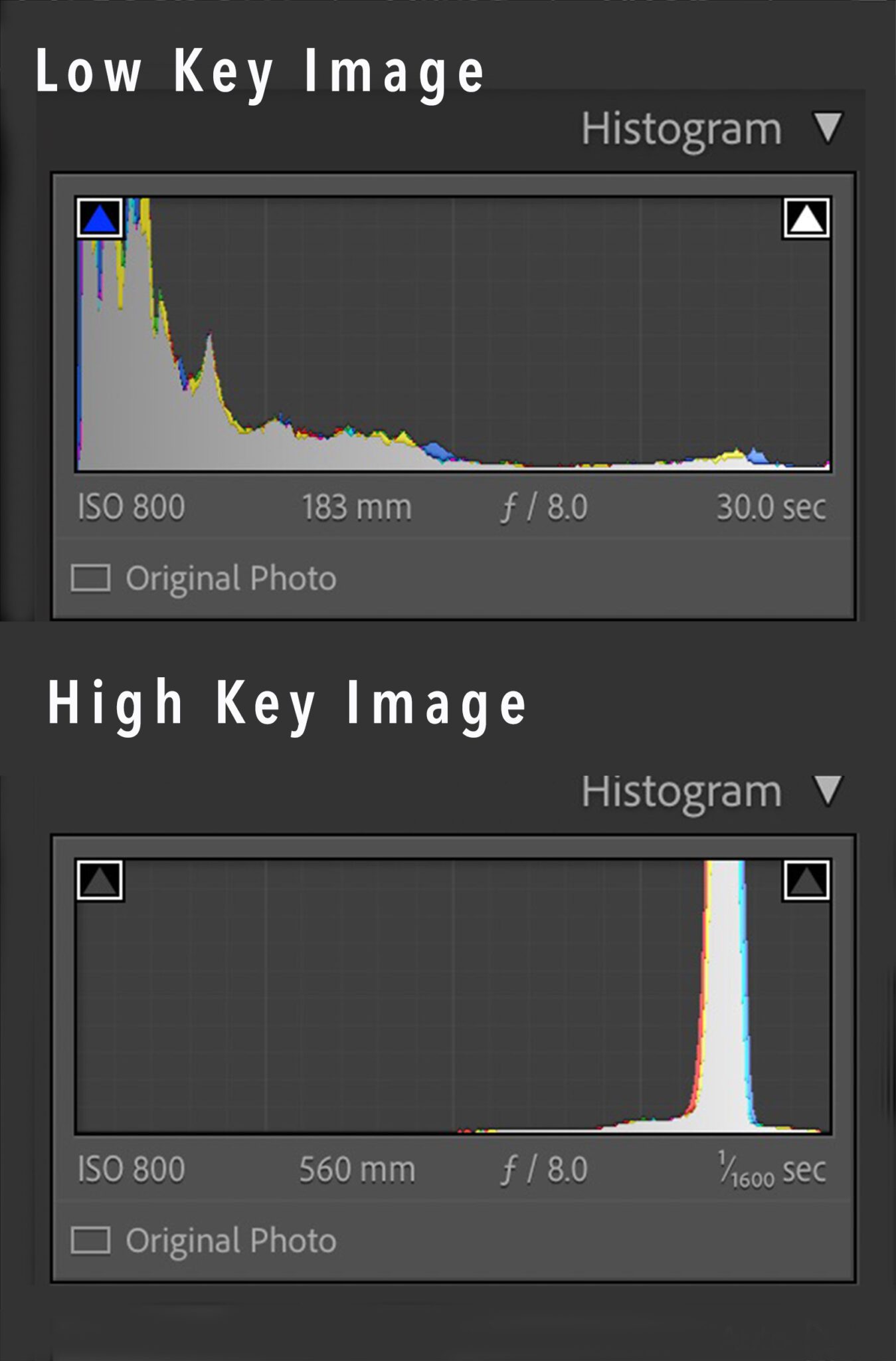 Low Key Photography Defined and Explained | Photzy