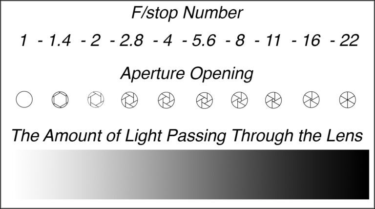 Camera Basics Series: Aperture Explained | Photzy