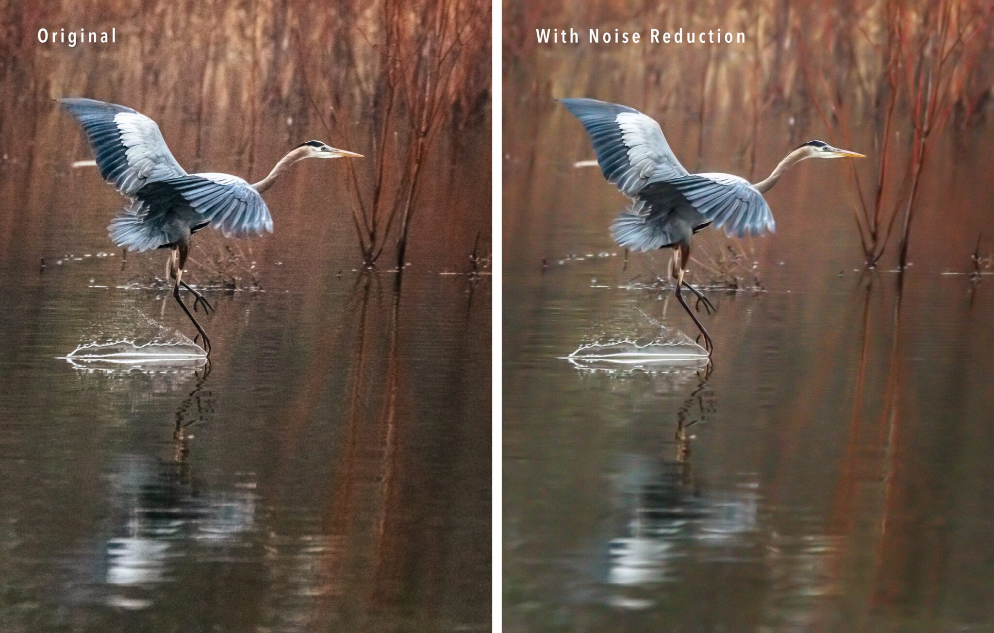 Three Tips for Maximum Photo Sharpness | Photzy