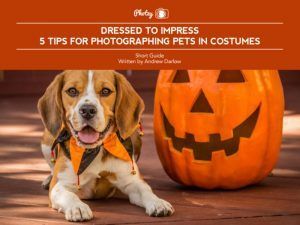 Free Guide – 5 Tips for Photographing Pets in Costumes