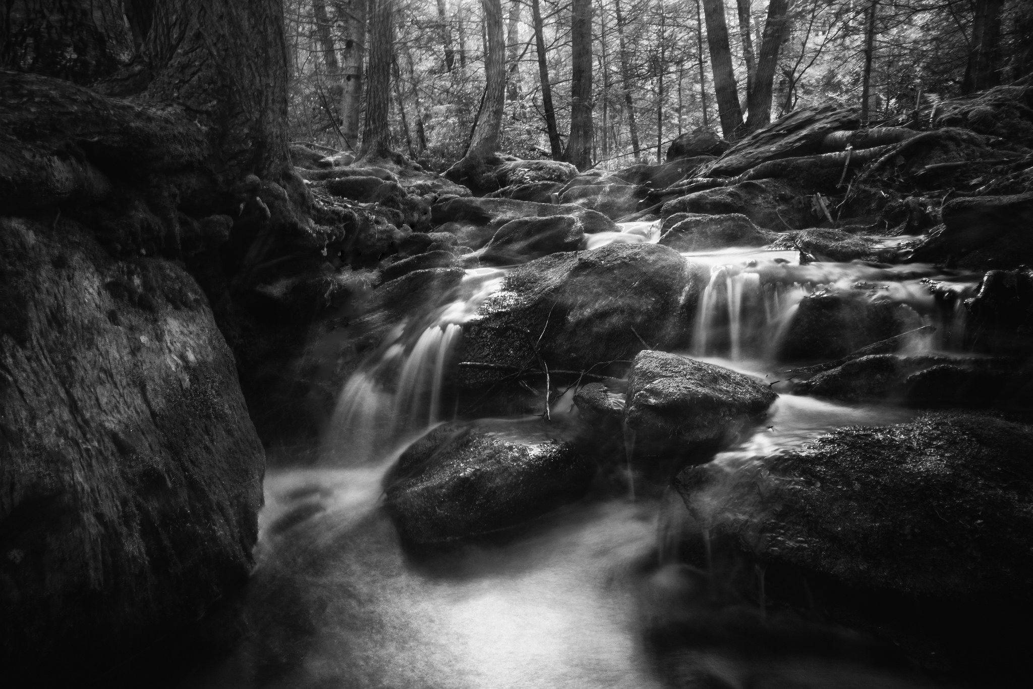 15 Amazing Black & White Landscape Photos That Will Leave You in Awe