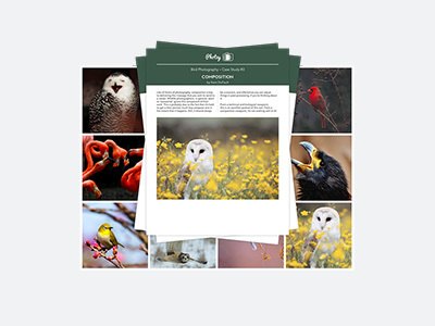 𝟱 𝗕𝗶𝗿𝗱 𝗣𝗵𝗼𝘁𝗼𝗴𝗿𝗮𝗽𝗵𝘆 𝗘𝘅𝘁𝗲𝗻𝗱𝗲𝗱 𝗖𝗮𝘀𝗲 𝗦𝘁𝘂𝗱𝗶𝗲𝘀 (47 Pages) Includes step-by-step examples, shooting challenges & self evaluation questions. ($35 Value)