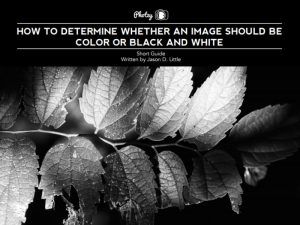 Color Versus Black and White - Free Quick Guide