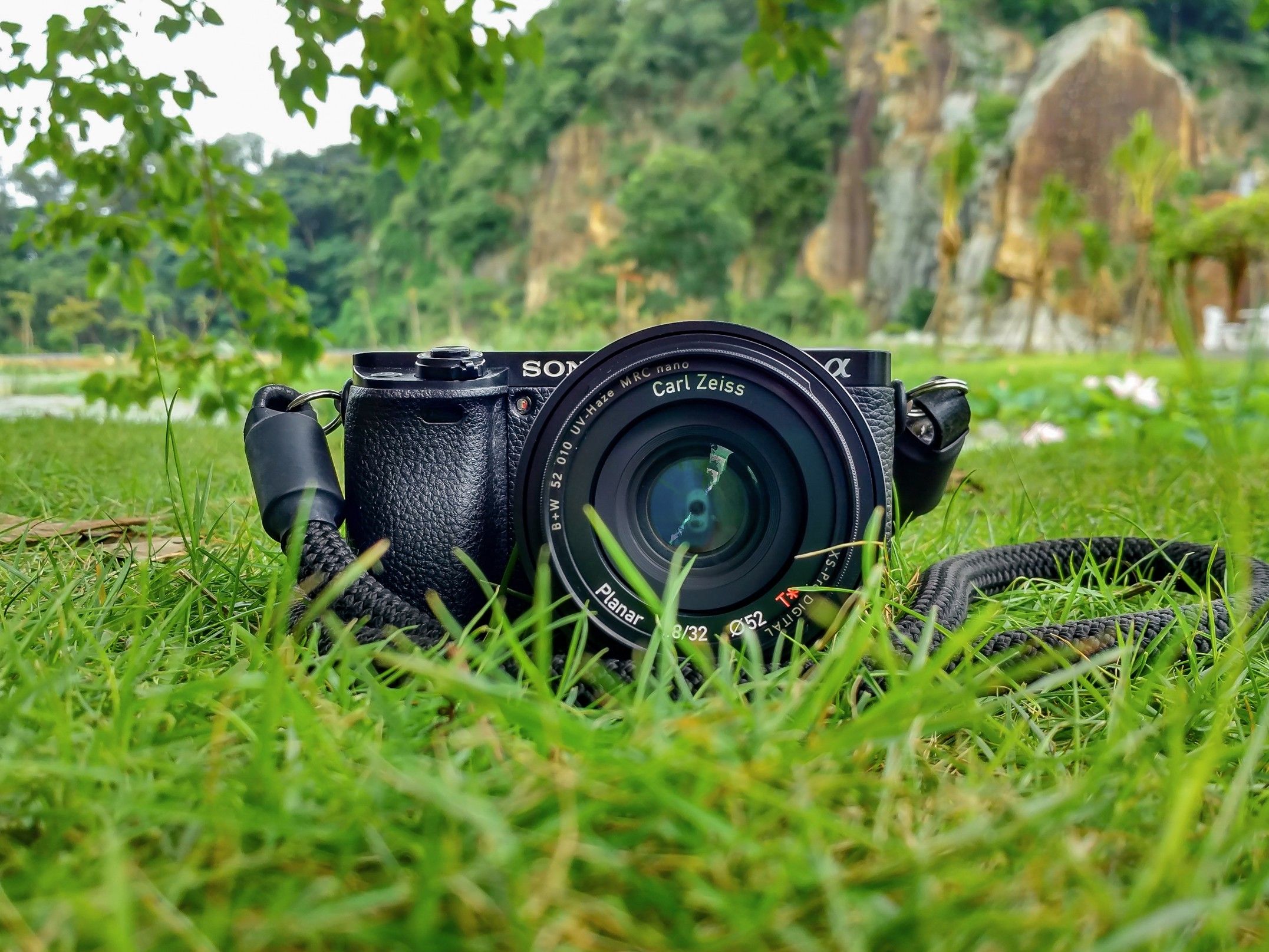 Best DSLR Camera For Professional Photography: Make Every Click Count!
