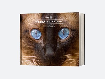 𝗧𝗵𝗲 𝗖𝗿𝗲𝗮𝘁𝗶𝘃𝗶𝘁𝘆 𝗖𝗮𝘁𝗮𝗹𝗼𝗴: Beat photographer’s block today! 207 Step-by-Step Pages • 20 Jam-Packed Chapters • 4 Video Tutorials • 1 Exclusive Interview ($110 Value)