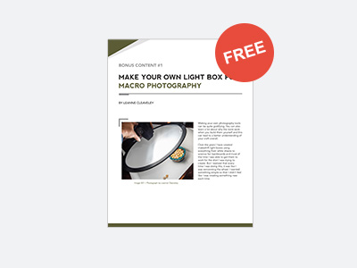 𝗙𝗥𝗘𝗘 𝗕𝗢𝗡𝗨𝗦: DIY Lightbox Tutorial — Make your own lightbox for Macro Photography at home ($10 Value)