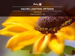 FREE Guide – Macro Lighting Options