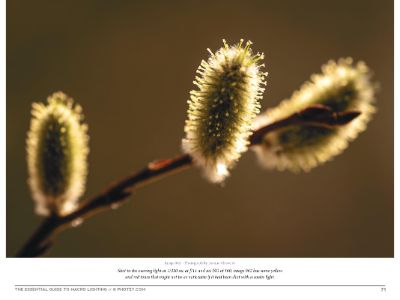 Chapter 5: How Light Affects Color