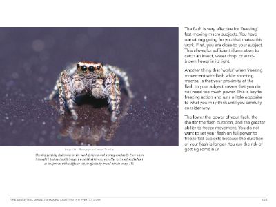 Chapter 8: Shooting Challenging Subjects
