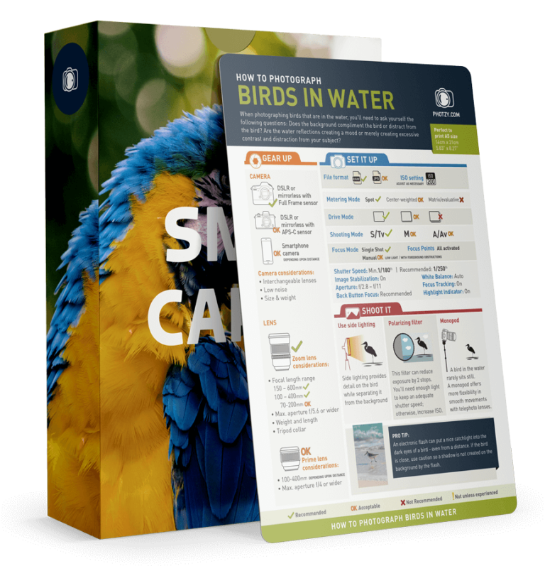 Snap Cards™ Bird Photography (80 off) The World’s MostPopular