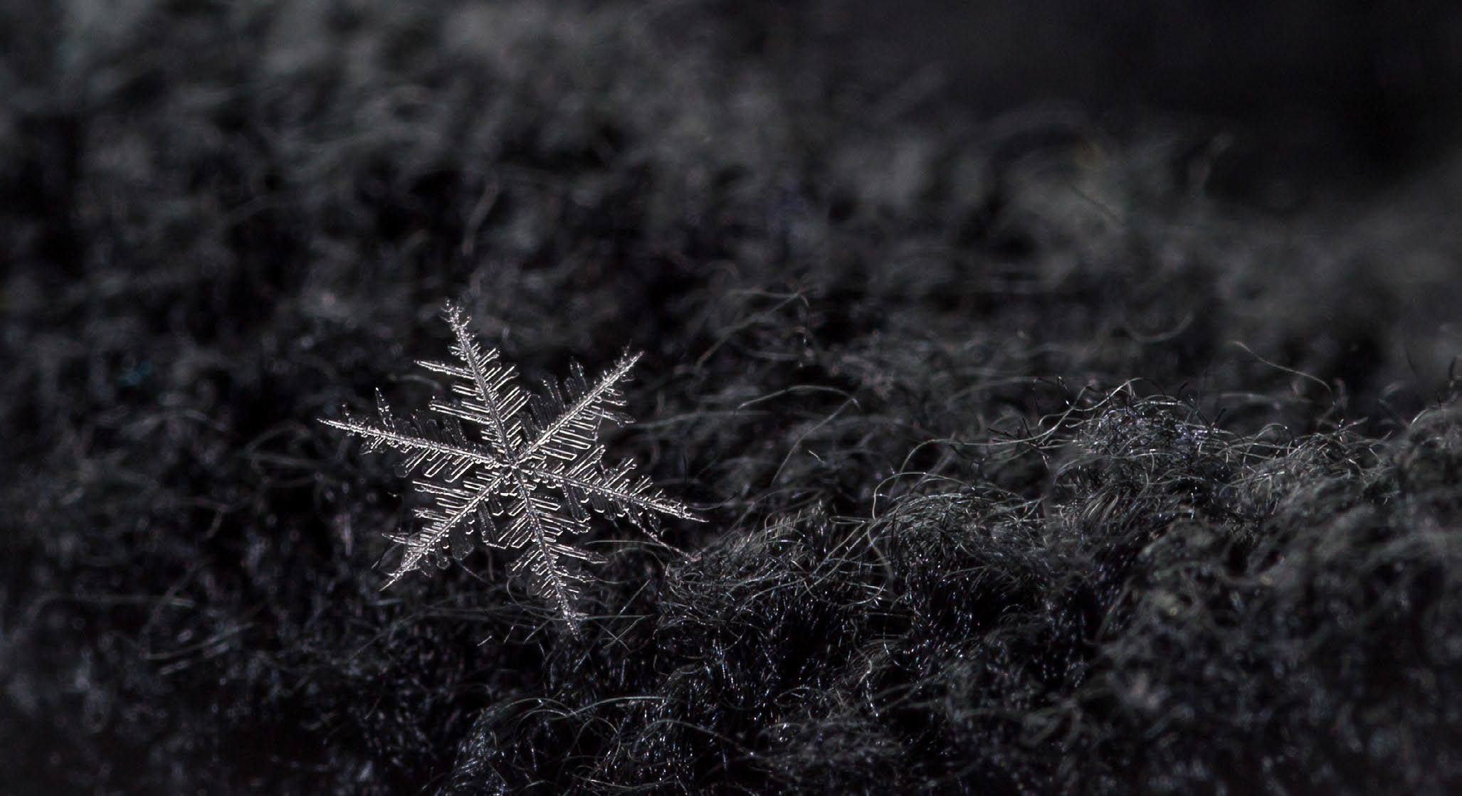 Christmas Snowflake Clip Art Black And White - Cartoon Snowflake -  (2555x2666) Png Clipart Download, image size:2054x1119