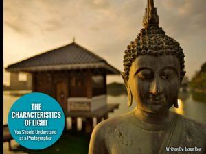 The Characteristics of Light You Should Understand as a Photographer