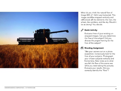 Chapter 5: The natural flow of photographs.