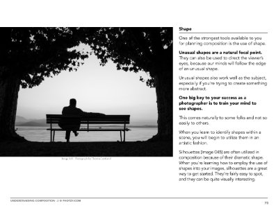 Chapter 8: Seven basic tools of composition.